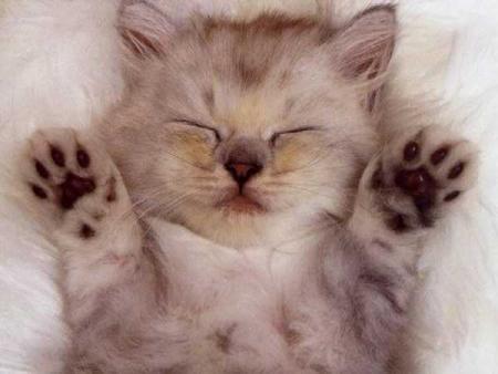 oh qu'il est chou